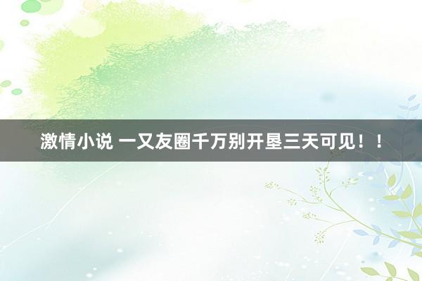 激情小说 一又友圈千万别开垦三天可见！！