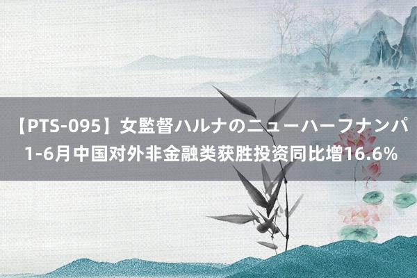 【PTS-095】女監督ハルナのニューハーフナンパ 1-6月中国对外非金融类获胜投资同比增16.6%