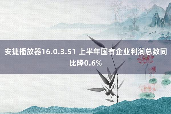安捷播放器16.0.3.51 上半年国有企业利润总数同比降0.6%