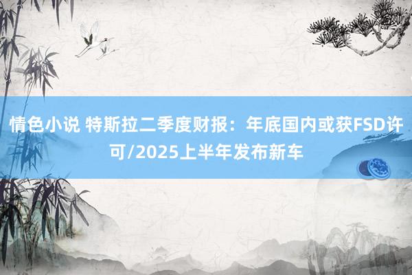 情色小说 特斯拉二季度财报：年底国内或获FSD许可/2025上半年发布新车
