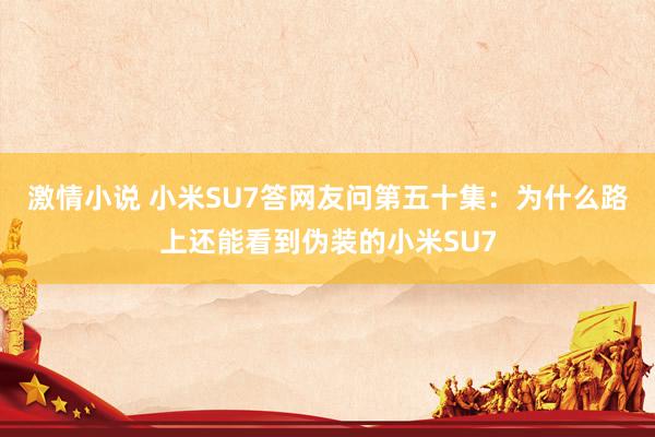 激情小说 小米SU7答网友问第五十集：为什么路上还能看到伪装的小米SU7