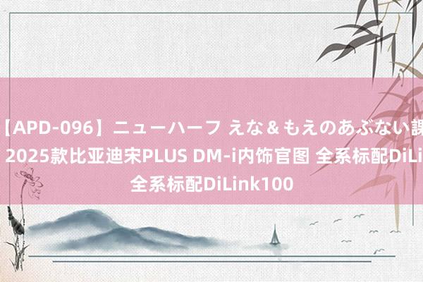 【APD-096】ニューハーフ えな＆もえのあぶない課外授業 2025款比亚迪宋PLUS DM-i内饰官图 全系标配DiLink100