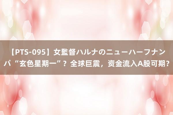 【PTS-095】女監督ハルナのニューハーフナンパ “玄色星期一”？全球巨震，资金流入A股可期？