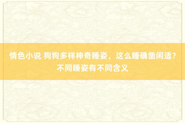 情色小说 狗狗多样神奇睡姿，这么睡确凿闲适？不同睡姿有不同含义