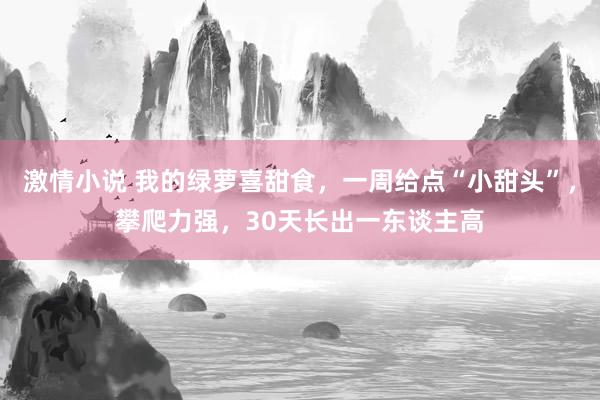 激情小说 我的绿萝喜甜食，一周给点“小甜头”，攀爬力强，30天长出一东谈主高
