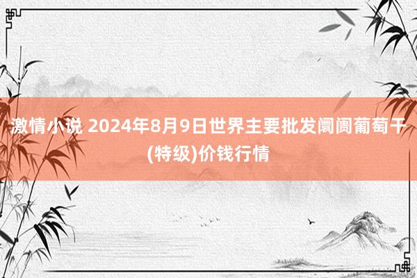 激情小说 2024年8月9日世界主要批发阛阓葡萄干(特级)价钱行情