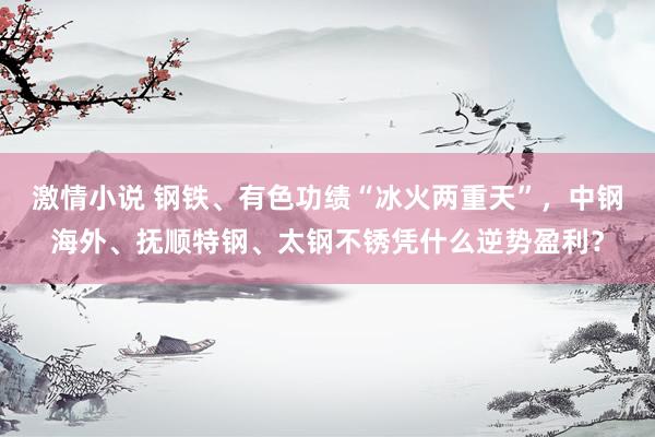 激情小说 钢铁、有色功绩“冰火两重天”，中钢海外、抚顺特钢、太钢不锈凭什么逆势盈利？