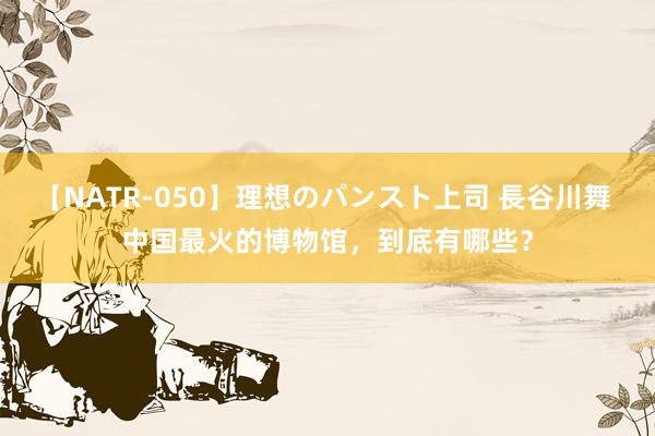 【NATR-050】理想のパンスト上司 長谷川舞 中国最火的博物馆，到底有哪些？