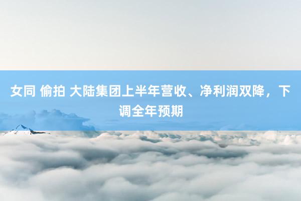 女同 偷拍 大陆集团上半年营收、净利润双降，下调全年预期