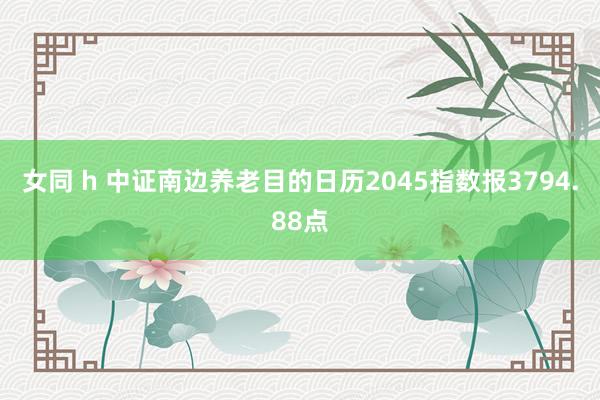 女同 h 中证南边养老目的日历2045指数报3794.88点