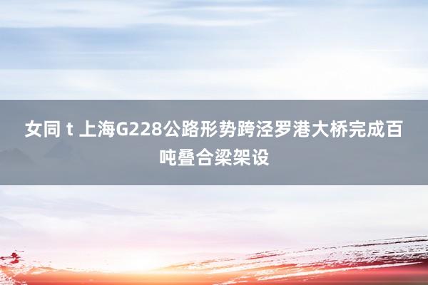 女同 t 上海G228公路形势跨泾罗港大桥完成百吨叠合梁架设