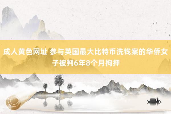成人黄色网址 参与英国最大比特币洗钱案的华侨女子被判6年8个月拘押