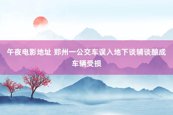 午夜电影地址 郑州一公交车误入地下谈辅谈酿成车辆受损