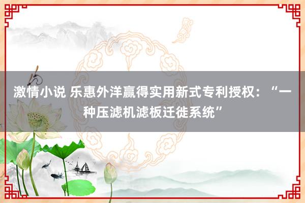 激情小说 乐惠外洋赢得实用新式专利授权：“一种压滤机滤板迁徙系统”