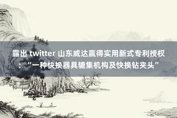 露出 twitter 山东威达赢得实用新式专利授权：“一种快换器具辘集机构及快换钻夹头”
