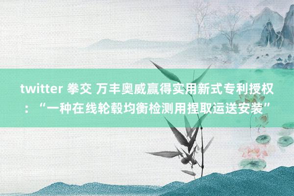 twitter 拳交 万丰奥威赢得实用新式专利授权：“一种在线轮毂均衡检测用捏取运送安装”