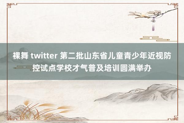 裸舞 twitter 第二批山东省儿童青少年近视防控试点学校才气普及培训圆满举办