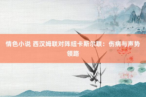 情色小说 西汉姆联对阵纽卡斯尔联：伤病与声势领路