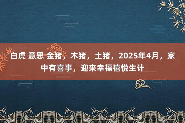 白虎 意思 金猪，木猪，土猪，2025年4月，家中有喜事，迎来幸福禧悦生计