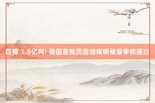 巨臀 1.8亿吨! 我国首批页岩油探明储量审核通过