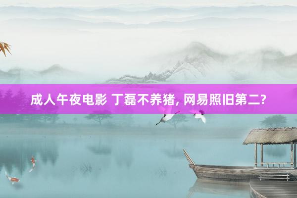 成人午夜电影 丁磊不养猪， 网易照旧第二?