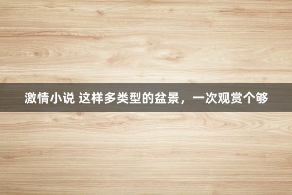 激情小说 这样多类型的盆景，一次观赏个够